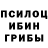 Псилоцибиновые грибы GOLDEN TEACHER Mihail Nart