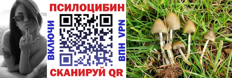 Псилоцибиновые грибы ЛСД  Адыгейск 